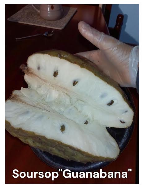 Whole soursop fruit or sliced into pounds.