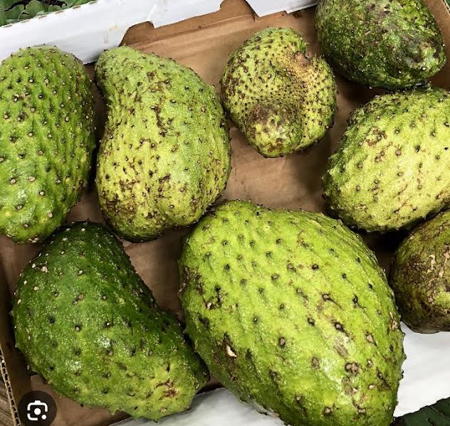 Fresh soursop