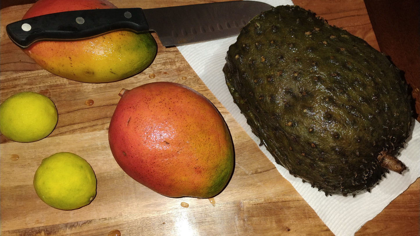 Whole soursop fruit or sliced into pounds.