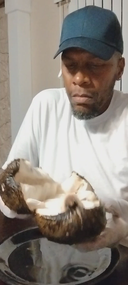 Whole soursop fruit or sliced into pounds.